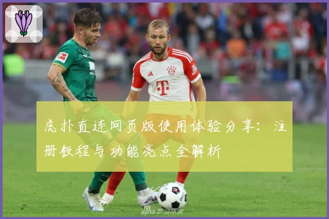 虎扑直连网页版使用体验分享：注册教程与功能亮点全解析