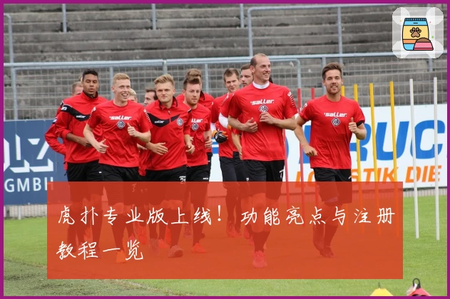 虎扑专业版上线！功能亮点与注册教程一览