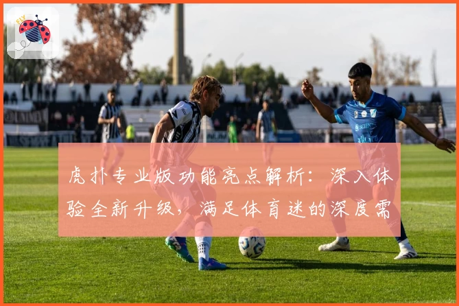 虎扑专业版功能亮点解析：深入体验全新升级，满足体育迷的深度需求