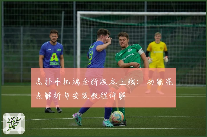 虎扑手机端全新版本上线：功能亮点解析与安装教程详解